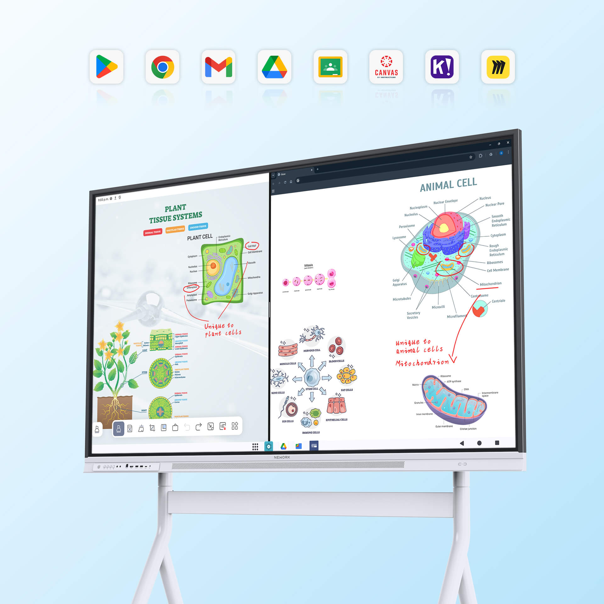 4K smart board for classroom teaching with touchscreen display and stand - Nework